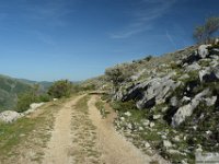 2026-05-09 Le cime di Casamaina 023